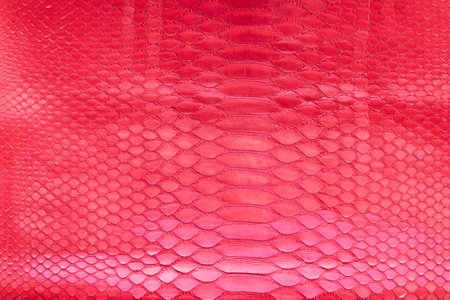 Genuine python snakeskin leather, snake skin, texture background.