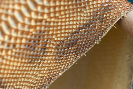 Genuine python snakeskin leather, snake skin, texture background.