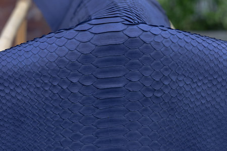 Genuine python snakeskin leather, snake skin, texture background.