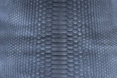 Genuine python snakeskin leather, snake skin, texture background.