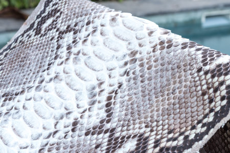 Genuine python snakeskin leather, snake skin, texture background.