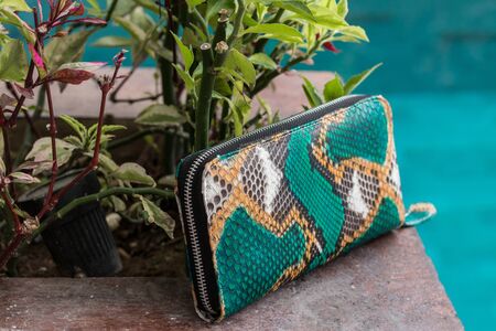 Stylish luxury snakeskin python wallet on a swimming pool background.の写真素材