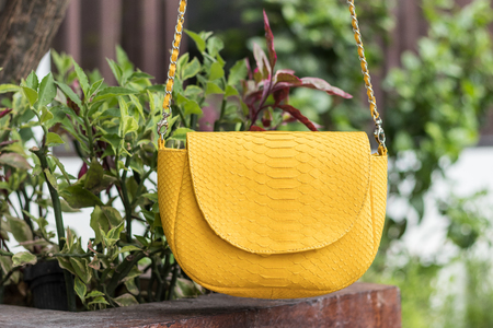 Close up of stylish female snakseskin python luxury bag outdoors. Fashionable and high style expensive female bag.の写真素材