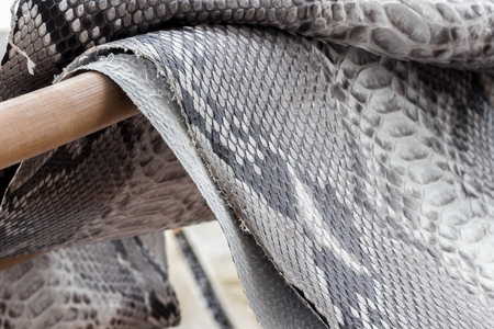 Reptile snake texture closeup, fashion zigzag snakeskin python picture.の写真素材