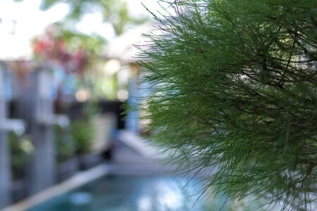 Swimming pool for rest and swimming. Tropical luxury villa on Bali island, Indonesia.の写真素材