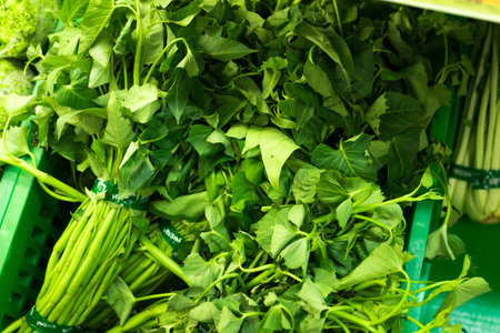 Lettuce (Lactuca) in the market, different grades, summer closeup, macro photography.