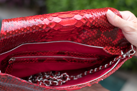 Woman hands holding luxury snakeskin python clutch near the swimming pool, Bali island.の写真素材