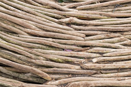 Dry branches, natural wood background, pattern.の写真素材