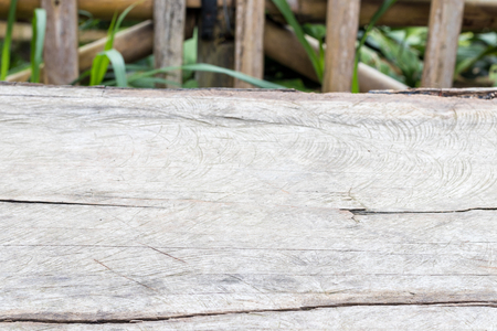 Natural organic wood background texture. Wood pattern.の写真素材