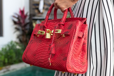 Fashionable woman holding luxury snakeskin python bag. Elegant outfit. Close up of purse in hands of stylish lady. Model posing near the swimming pool. Bali island.の写真素材