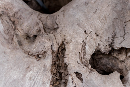Old natural wooden shabby background close up