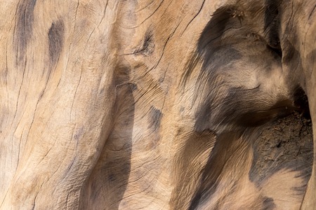 Old natural wooden shabby background close up. Antique background. Bali. Pattern.の写真素材