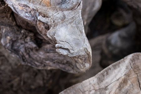 Old natural wooden shabby background close up. Antique background. Bali. Pattern.の写真素材