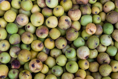 Green apples on the organic traditional food market of tropical Bali island, Indonesia. Sukawati...