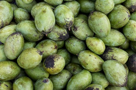 Fresh organic mangoes fruit on a traditional market of Bali island, Sukawati, Indonesia.の写真素材