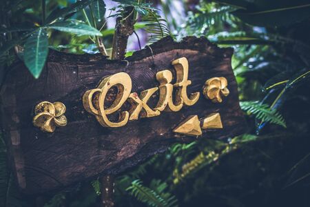 Text EXIT on a wooden plate in a rainforest jungle of tropical Bali island, Indonesia. EXIT inscription in the asian tropics.の写真素材