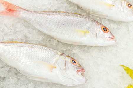 High Angle Raw Fresh Fish Chilling on Bed of Cold Ice in Seafood Market of Bali island.