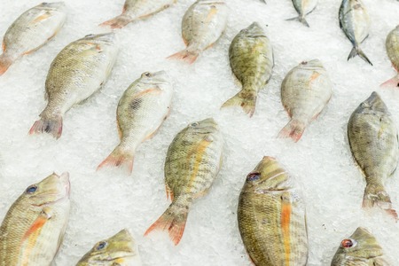 High Angle Raw Fresh Fish Chilling on Bed of Cold Ice in Seafood Market of Bali island.の写真素材