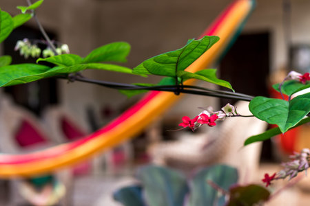 Tropical floral pattern. Exotic leaves and flowers. Bali garden.