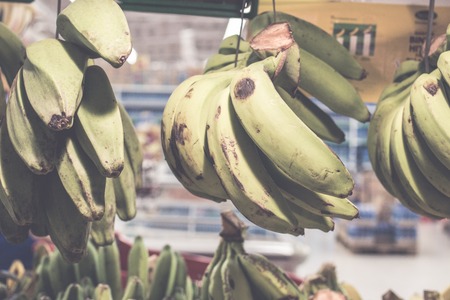 Bunch of green and yellow bananas hanging in the supermarket. Bali island, Indonesia.の写真素材