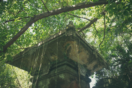 Tropical jungle rainforest on Bali island, Indonesia. Green baackground.