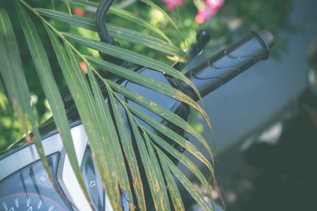 Bike break and rudder with palm leaf on it. Tropical island of Bali.の写真素材