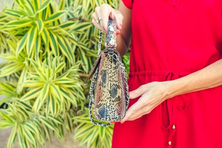 Closeup woman hands with fashion luxury snakeskin python handbag. Outdoors.の写真素材