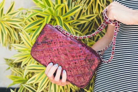 Closeup woman hands with fashion luxury snakeskin python handbag. Outdoors, Bali island.の写真素材