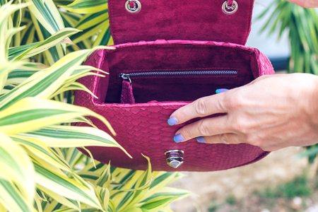 Closeup woman hands with fashion luxury snakeskin python handbag. Outdoors.の写真素材