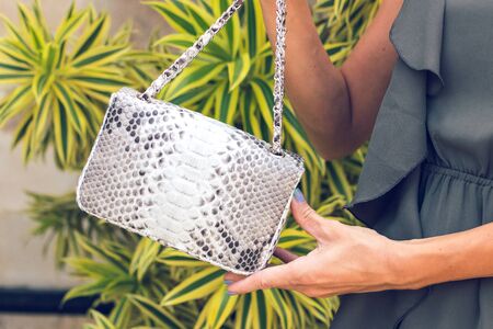 Closeup woman hands with fashion luxury snakeskin python handbag. Outdoors.の写真素材