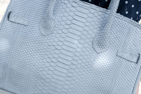 Closeup woman hands with fashion luxury snakeskin python handbag. Outdoors.