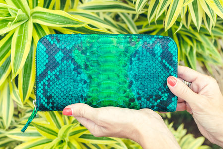 Closeup woman hands with fashion luxury snakeskin python handbag. Outdoors.