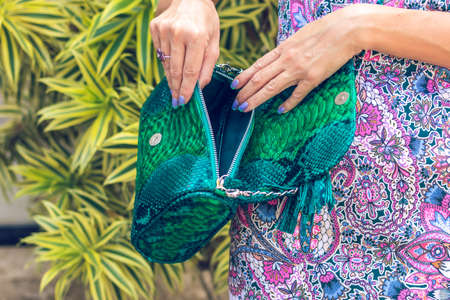Closeup woman hands with fashion luxury snakeskin python handbag. Outdoors.の写真素材