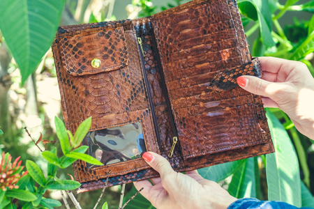 Stylish female hands holding luxury snakeskin python wallet. Fashionable women accessory. Tropical background.の写真素材