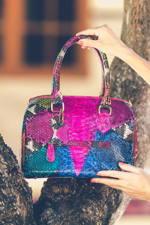 Closeup woman hands with fashion luxury snakeskin python handbag. Outdoors.