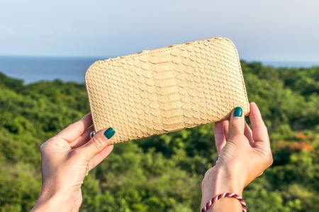 Woman hand holding luxury snakeskin python wallet on a tropical green background.の写真素材