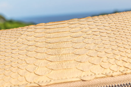 Woman hand holding luxury snakeskin python wallet on a tropical green background.