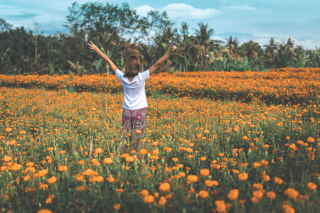 Pretty woman stands in marigold field in the valley. Tropical island of Bali, Indonesia.