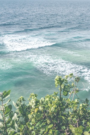 Beautiful landscape with ocean background.の写真素材