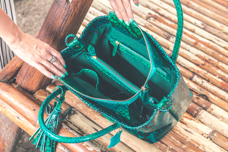 Woman hands with luxury snakeskin handbag outdoors. Tropical fashion exotic concept.の写真素材