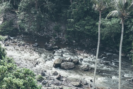 Mountain river water landscape. Wild river in mountains. Mountain wild river water view. Bali island.の写真素材