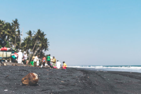 Old dry coconut on the black sand beach. Balinese ceremony on the background.の写真素材