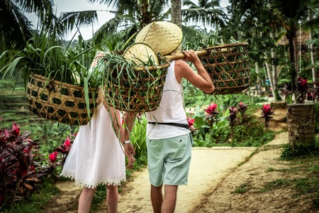 Young honeymoon couple on rice fields of Bali island. Travel vacation on Bali concept.の写真素材