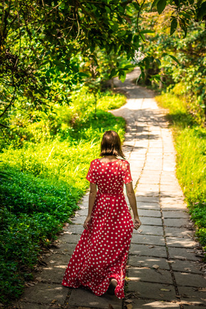 Young woman tourist in a lon red dress walking on the rainforest trail. Bali island. Indonesia.の写真素材