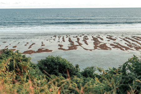 Beautiful landscape of ocean coast on Bali island.の写真素材