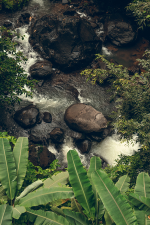 Mountain river landscape, Bali island, Indonesia. Close to waterfall Sekumpul.の写真素材