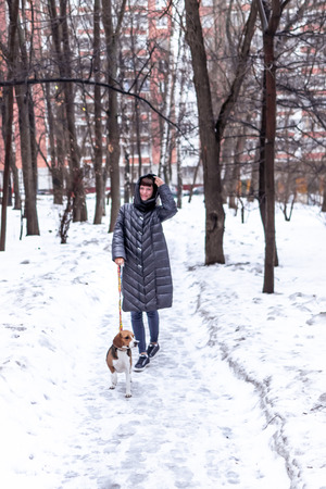 Young woman walking in the park with her beagle dog in winter time.の写真素材