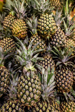 Ripe pineapples. Outdoor food market. Juicy tropical fruits. Healthy organic food. Bali island.の写真素材