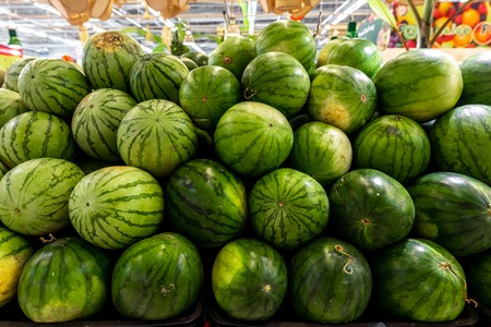 Fruit Background. A Lot Of Big Sweet Green Organic Ripe Watermelons In The Farmers Market on Bali island. Nutrition And Vitamins. Healthy Raw Diet Food.の写真素材