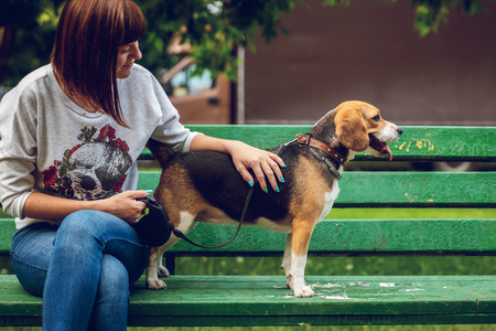 Girl on the green bench with her cute female beagle dog in the park. Summer time. Happy time.の写真素材